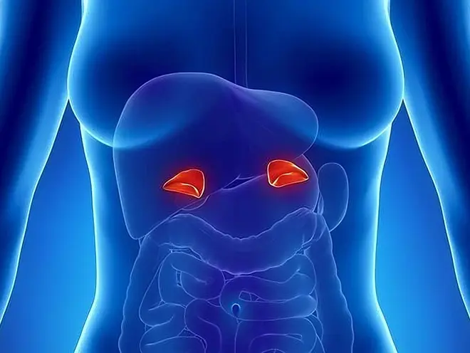 Adrenal Cancer