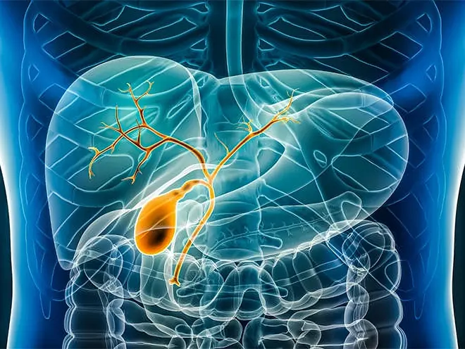 Gallbladder Cancer