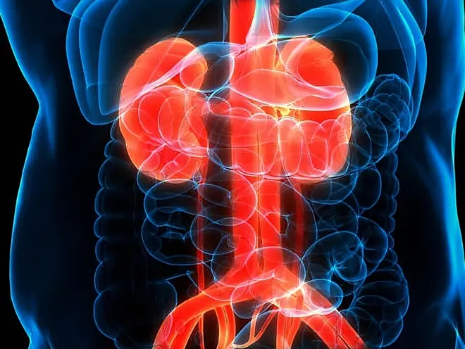 Kidney-Cancer